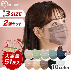 ≪クーポン利用で1個無料！？16日10時迄≫【2個セット】マスク 不織布 大容量 51枚 アイリスオーヤマ アイリスヘルスケア 小さめ ふつう 大きめ 不織布マスク プリーツ 白 カラー プリーツマスク カラーマスク おしゃれ 使い捨て 風邪 花粉 対策 ecoパッケージ PN-51