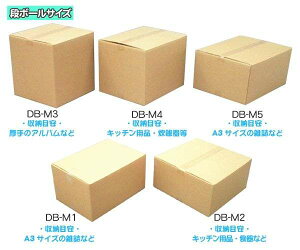 _{[  55×s40×24.6cm {bNX i{[ij DB-M5y55×s40×24.6icmjzyACXI[}zi//zߑւɕ֗/[ƋAHAƓd̐Ɂj CX-