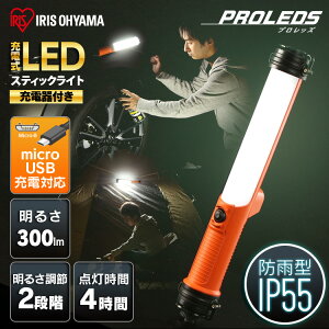 XeBbNCg d led h [dt 300lm hЗpi hЃObY AEghA LWS-300SB-CHƓ led [d  XeBbN [dt LEDƓ LED F [NCg ho 