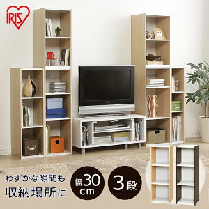 Xy[XJ[{bNX UB-9030 ACXI[} 30cm×3i^Cv [ [Ƌ [BOX [{bNX [pi [P[X Lb` [ rO _CjO[ J[{bNX 3i