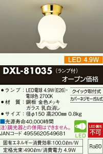 �y���������z����d�@ DXL-81035 �V�[�����O���C�g �����ݒ薳�� LED�ᑦ�������Ή��\ �݌Ɋm�F�K�v��