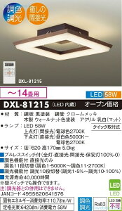 �y���������z�y��z�֕s�z����d�@ DXL-81215 �V�[�����O���C�g �����R���t �`14�� LED���S�̃��[�J�[�ۏ�