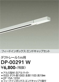 【送料無料】大光電機 DP-00291W 配線ダクトレール 畳数設定無し≪即日発送対応可能 在庫確認必要≫ 安心のメーカー保証