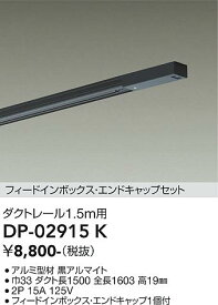 【送料無料】大光電機 DP-02915K 配線ダクトレール 畳数設定無し≪即日発送対応可能 在庫確認必要≫ 安心のメーカー保証