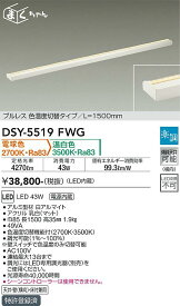 【送料無料】大光電機 DSY-5519FWG ベースライト 畳数設定無し LED≪即日発送対応可能 在庫確認必要≫ 安心のメーカー保証