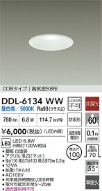 【送料無料】大光電機 DDL-6134WW 屋外灯 ダウンライト 【高気密SB形】 畳数設定無し LED≪即日発送対応可能 在庫確認必要≫ 安心のメーカー保証