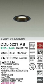 【送料無料】大光電機 DDL-6221AB 屋外灯 ダウンライト 【高気密SB形】 畳数設定無し LED≪即日発送対応可能 在庫確認必要≫ 安心のメーカー保証