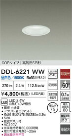 【送料無料】大光電機 DDL-6221WW 屋外灯 ダウンライト 【高気密SB形】 畳数設定無し LED≪即日発送対応可能 在庫確認必要≫ 安心のメーカー保証