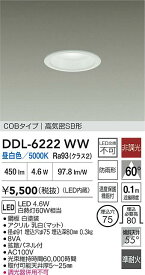 【送料無料】大光電機 DDL-6222WW 屋外灯 ダウンライト 【高気密SB形】 畳数設定無し LED≪即日発送対応可能 在庫確認必要≫ 安心のメーカー保証