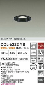 【送料無料】大光電機 DDL-6222YB 屋外灯 ダウンライト 【高気密SB形】 畳数設定無し LED≪即日発送対応可能 在庫確認必要≫ 安心のメーカー保証