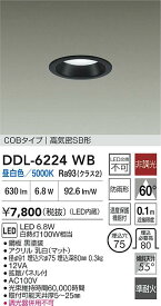 【送料無料】大光電機 DDL-6224WB 屋外灯 ダウンライト 【高気密SB形】 畳数設定無し LED≪即日発送対応可能 在庫確認必要≫ 安心のメーカー保証