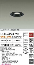 【送料無料】大光電機 DDL-6224YB 屋外灯 ダウンライト 【高気密SB形】 畳数設定無し LED≪即日発送対応可能 在庫確認必要≫ 安心のメーカー保証