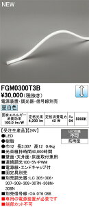�y���������z �I�[�f���b�N �󒍐��Y�i T�敪 FGM0300T3B-SF �i��p�d���ʔ��j ���O�� �ԐڏƖ� �����ݒ薳�� LED ���S�̃��[�J�[�ۏ�