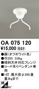 T敪 I[fbN OA075120 IvV ݒ薳 S̃[J[ۏ