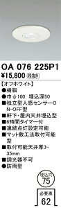 【送料無料】 オーデリック T区分 OA076225P1 屋外灯 ダウンライト 独立型人感センサーON-OFF型 畳数設定無し 安心のメーカー保証