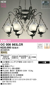 yzN敪 I[fbN OC006963LCR ivʍjwOC006963#{NO253FL×6x VfA `6 LED S̃[J[ۏ