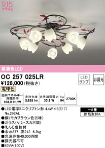 �y���������zN�敪 �I�[�f���b�N OC257025LR �i�����v�ʍ���j�wOC257025#�{NO292AL×8�x �V�����f���A �`8�� LED ���S�̃��[�J�[�ۏ�