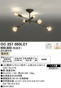 �y���������zN�敪 �I�[�f���b�N OC257050LC1 �i�����v�ʍ���j�wOC257050#�{NO271E×6�x �V�����f���A �`4.5�� LED ���S�̃��[�J�[�ۏ�