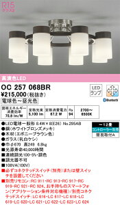 yzN敪 I[fbN OC257068BR ivʍjwOC257068#{NO295AB×8x VfA Rʔ `12 LED S̃[J[ۏ