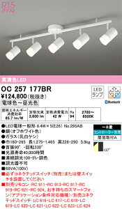 �y���������zN�敪 �I�[�f���b�N OC257177BR �i�����v�ʍ���j�wOC257177#�{NO295AB×5�x �V�����f���A �����R���ʔ� �`8�� LED ���S�̃��[�J�[�ۏ�