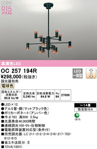 yzN敪 I[fbN OC257194R VfA `14 LED S̃[J[ۏ