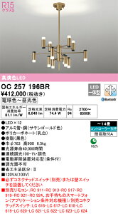 yzN敪 I[fbN OC257196BR VfA Rʔ `14 LED S̃[J[ۏ