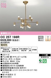 yzN敪 I[fbN OC257198R VfA `14 LED S̃[J[ۏ