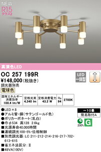 yzN敪 I[fbN OC257199R VfA `10 LED S̃[J[ۏ