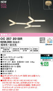 yzN敪 I[fbN OC257201BR VfA Rʔ `10 LED S̃[J[ۏ