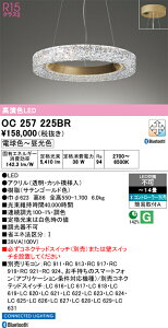 【送料無料】N区分 オーデリック OC257225BR ペンダント リモコン別売 〜14畳 LED 安心のメーカー保証