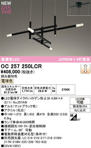 yzN敪 I[fbN OC257250LCR ivʍjwOC257250#{NO297AW×6x VfA ݒ薳 LED S̃[J[ۏ