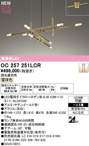 yzN敪 I[fbN OC257251LCR ivʍjwOC257251#{NO297AW×10x VfA `4.5 LED S̃[J[ۏ