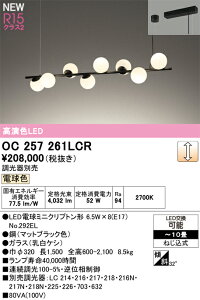 yzN敪 I[fbN OC257261LCR ivʍjwOC257261#{NO292EL×8x VfA `10 LED S̃[J[ۏ