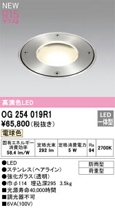 【送料無料】T区分 オーデリック OG254019R1 屋外灯 埋込灯 畳数設定無し LED 安心のメーカー保証