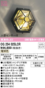 yz I[fbN T敪 OG254025LCR-SF ivʍjwOG254025#{NO253FL×2x |[`Cg lZT[ ݒ薳 LED S̃[J[ۏ