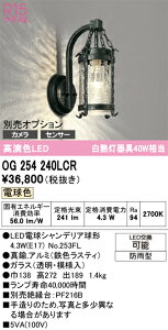 T�敪 �I�[�f���b�N OG254240LCR �i�����v�ʍ���j�wOG254240#�{NO253FL�x �|�[�`���C�g �����ݒ薳�� LED ���S�̃��[�J�[�ۏ�