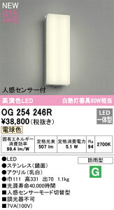 �y���������z �I�[�f���b�N T�敪 OG254246R �|�[�`���C�g �����ݒ薳�� LED ���S�̃��[�J�[�ۏ�