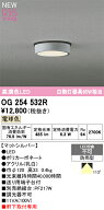 【送料無料】 オーデリック H区分 OG254532R 屋外灯 軒下灯 畳数設定無し LED 安心のメーカー保証
