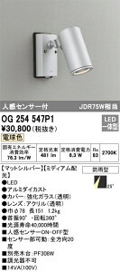 yz I[fbN T敪 OG254547P1 O X|bgCg lZT[ ݒ薳 LED S̃[J[ۏ