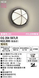 H敪 I[fbN OG254597LR ivʍjwOG254597#{NO253SLx |[`Cg ݒ薳 LED S̃[J[ۏ