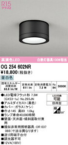 T�敪 �I�[�f���b�N OG254602NR �i�����v�ʍ���j�wOG254602#�{NO293JN�x �|�[�`���C�g �����ݒ薳�� LED ���S�̃��[�J�[�ۏ�