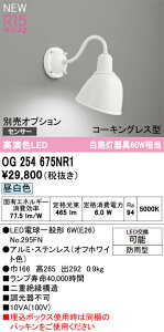 【送料無料】 オーデリック T区分 OG254675NR1-SF (ランプ別梱包)『OG254675P1#+NO295FN』 ポーチライト オプション別売 畳数設定無し LED 安心のメーカー保証