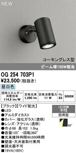 【送料無料】 オーデリック N区分 OG254703P1 屋外灯 スポットライト 畳数設定無し LED 安心のメーカー保証