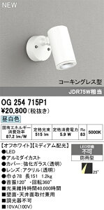 【送料無料】 オーデリック T区分 OG254715P1 屋外灯 スポットライト 畳数設定無し LED 安心のメーカー保証