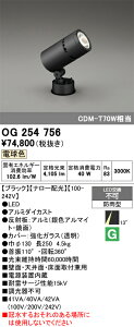 【送料無料】T区分 オーデリック OG254756 屋外灯 スポットライト 自動点灯無し 畳数設定無し LED 安心のメーカー保証