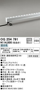 【送料無料】N区分 オーデリック OG254791 屋外灯 間接照明 自動点灯無し 畳数設定無し LED 安心のメーカー保証