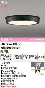 H敪 I[fbN OG254810R O  ݒ薳 LED S̃[J[ۏ