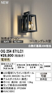 【送料無料】 オーデリック T区分 OG254871LC1-SF (ランプ別梱包)『OG254871P1#+NO271E』 ポーチライト オプション別売 畳数設定無し LED 安心のメーカー保証