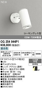 T区分 オーデリック OG254944P1 屋外灯 スポットライト 畳数設定無し LED 安心のメーカー保証