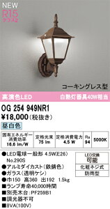 T区分 オーデリック OG254949NR1 (ランプ別梱包)『OG254949P1#+NO290S』 ポーチライト 畳数設定無し LED 安心のメーカー保証